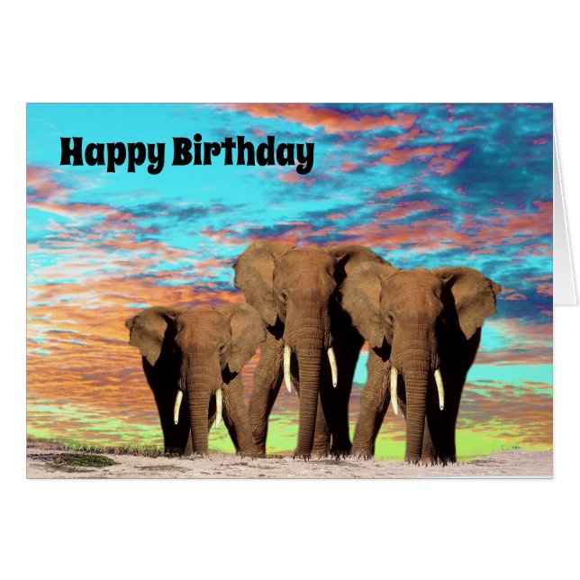 The Elephant Gang, Birthday Card (Front Horizontal)
