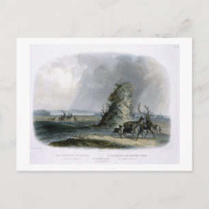 The Elkhorn Pyramid on the Upper Missouri, plate 2 Postcard