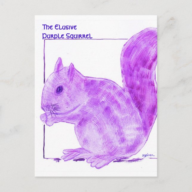 The Elusive Purple Squirrel Postcard (Front)