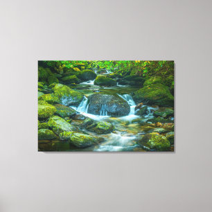 The Emerald Flow of the Irish Brook Canvas Print