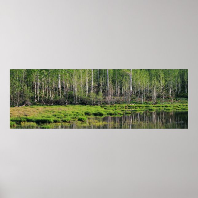 The Emerald Forest Poster (Front)