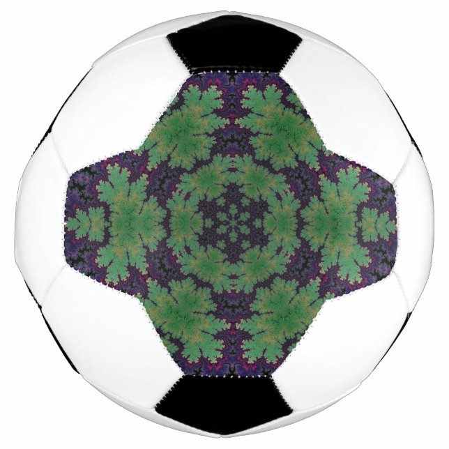 The Enchanted Fern Wheel  Football (Front)