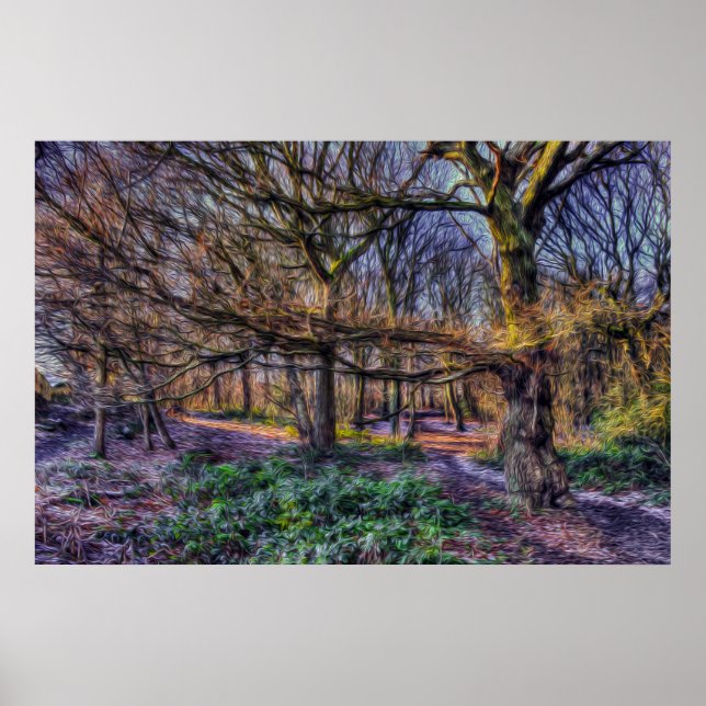 The Enchanted Forest 1 Poster (Front)