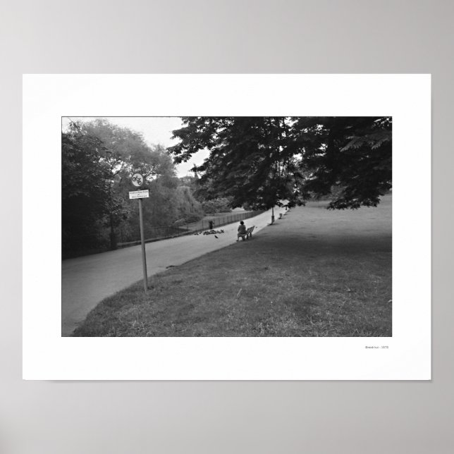 THE ENGLISH AFTERNOON Poster (Front)