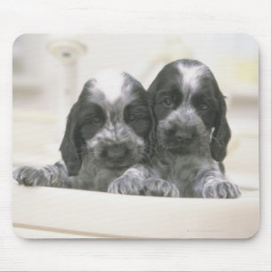 The English Cocker Spaniel is a breed of dog. It Mouse Mat