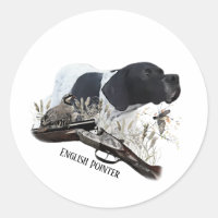 The English Pointer