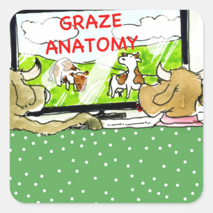 The Entertaining Cows Funny Square Sticker