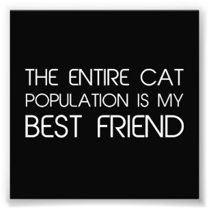 The Entire Cat Population Is My Best Friend Photo Print