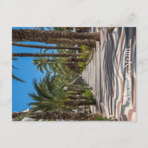 The Esplanade, Alicante, Spain Holiday Postcard