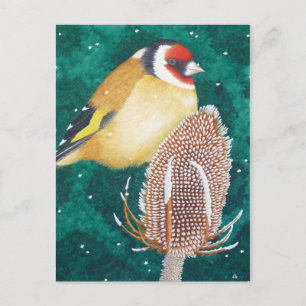 The European Goldfinch Postcard