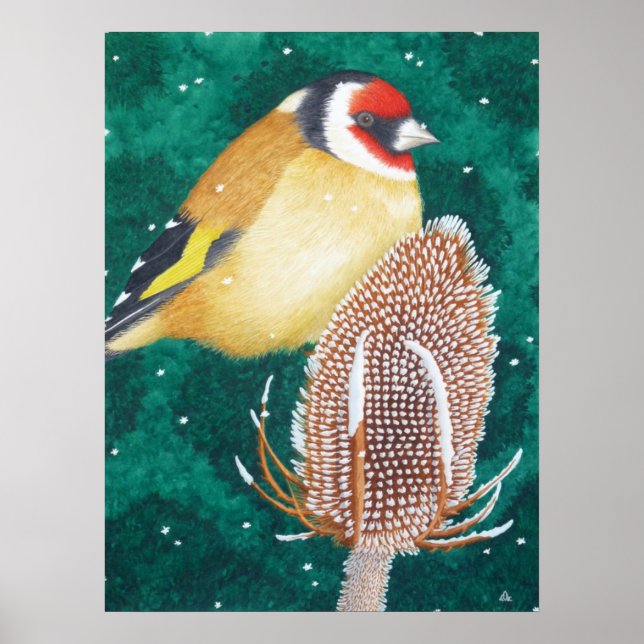 The European Goldfinch Poster (Front)