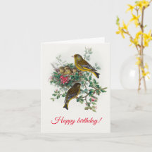 The European greenfinch, Happy Birthday
