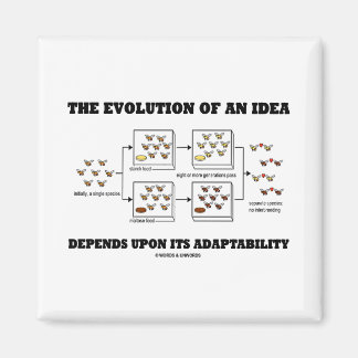 The Evolution An Idea Depends Upon Adaptability Magnet