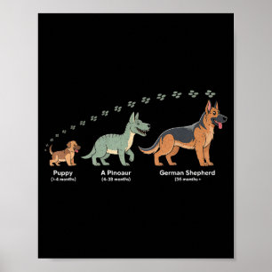 The Evolution Of A German Shepherd - Dog Owner Pet Poster