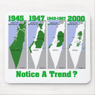 The Evolution of Palestine Mouse Mat