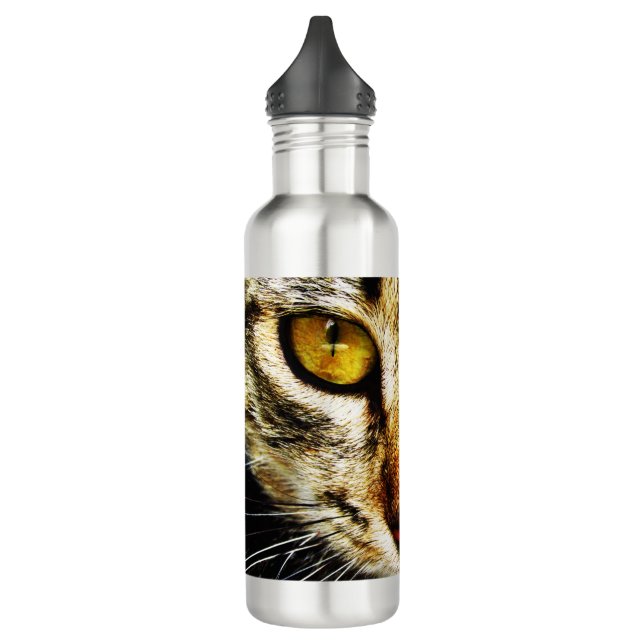 The expressive look of a domestic cat 710 ml water bottle (Left)