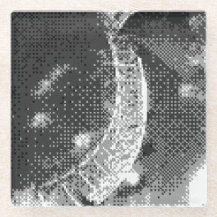 the eye glass coaster