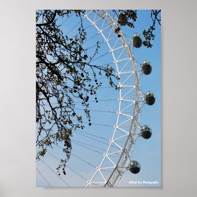 The Eye in Autumn Poster (Front)