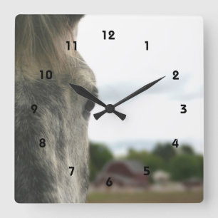 The Eye Of A Horse Animal Square Wall Clock