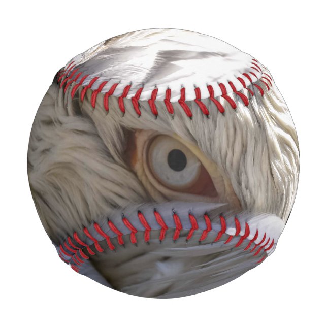 The Eye of a Pelican Baseball (Front)