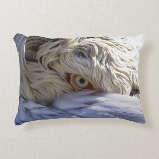 The Eye of a Pelican Decorative Cushion (Front)