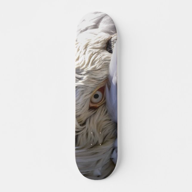 The Eye of a Pelican Skateboard (Front)