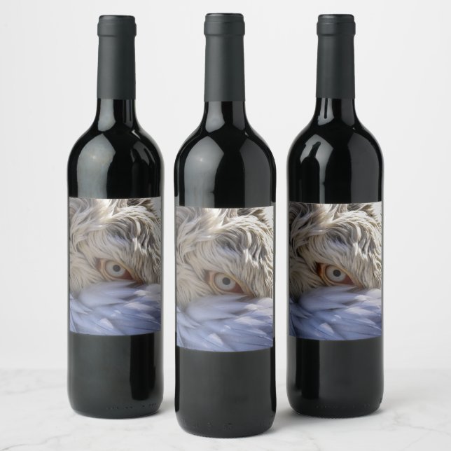 The Eye of a Pelican Wine Label (Bottles)