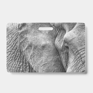 The eye of an elephant ID badge