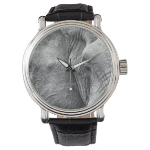 The eye of an elephant watch