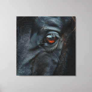 The Eye Of Nightshade Canvas Print