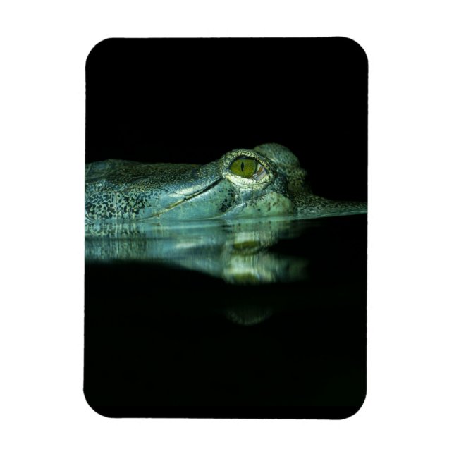 The Eye Of The Gharial Magnet (Vertical)