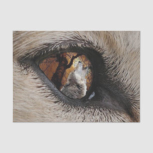 The Eye of the Wolf Tissue Paper