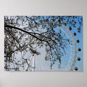 The Eye through Autumn Leaves Poster