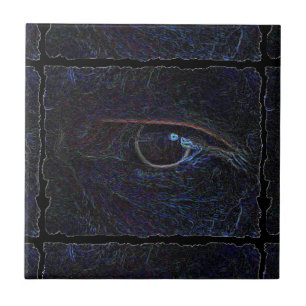 The eye tile