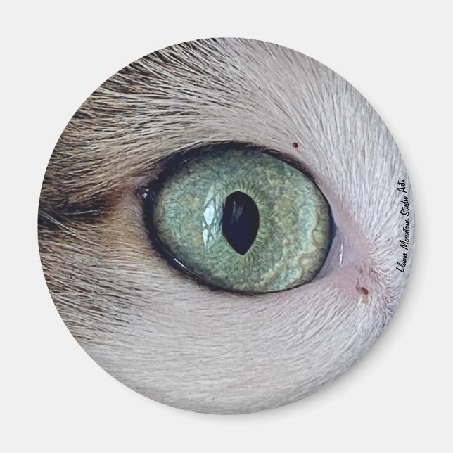 "The Eyes Have It" cat eye magnet (Front)