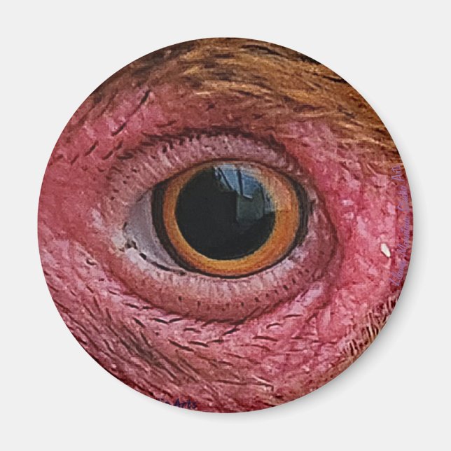 "The Eyes Have It" Chicken Eye #1 Magnet (Front)