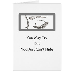 The Eyes Say It All Collection