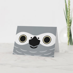 The face of a African Grey Parrot Card