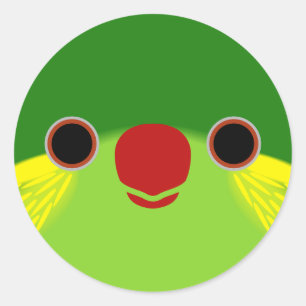 The face of a female Red-flanked lorikeet Classic Round Sticker