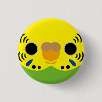 The face of a normal female budgie