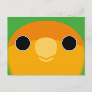 The face of a orange-faced peach-faced lovebird holiday postcard