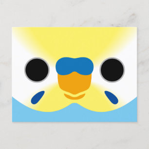 The face of a pastel rainbow male budgie holiday postcard