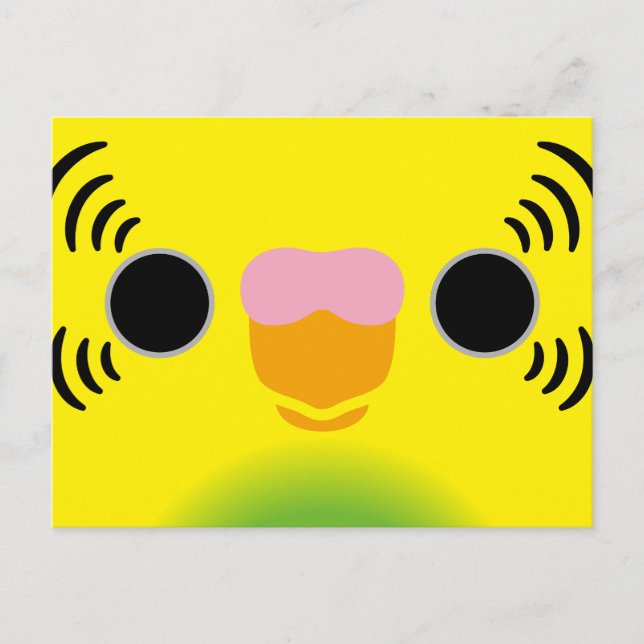 The face of a recessive pied budgie holiday postcard (Front)