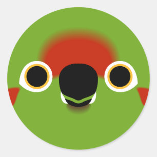 The face of a Red-fronted macaw Classic Round Sticker