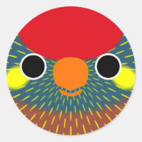 The face of a Varied Lorikeet