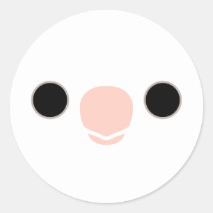The face of a white face Clear Pied cockatiel Classic Round Sticker