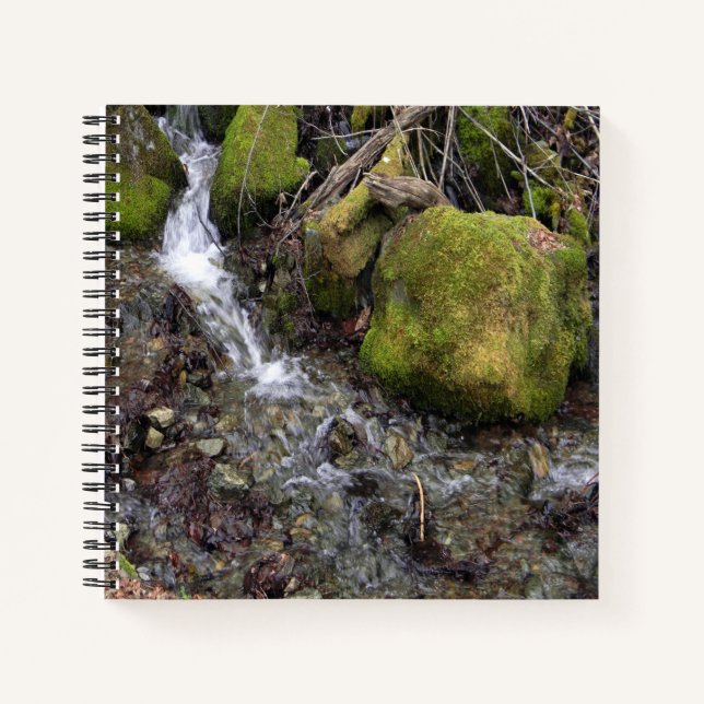 The Fae's waterfall.... Notebook (Front)