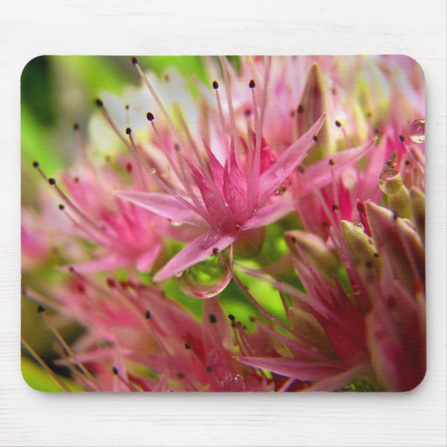 The Fairy Crown Mouse Mat (Front)