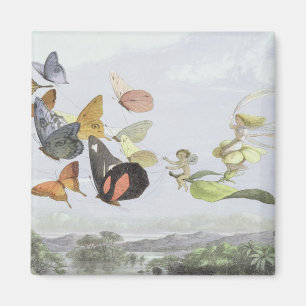 The Fairy Queen's Carriage   Elf World Magnet