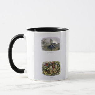 The Fairy Queen's Messenger, and Elf and Owls, ill Mug